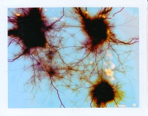 slide_388978_4695954_free